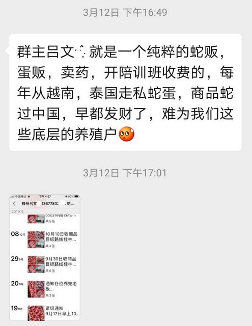 蛇类养殖者向第一财经记者提供的信息