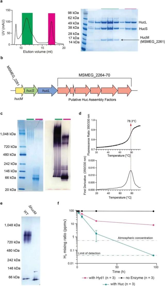 新发现！空气也能“发电”，最新成果登鼎Nature