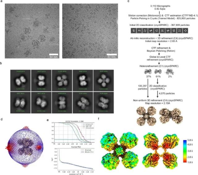 新发现！空气也能“发电”，最新成果登鼎Nature