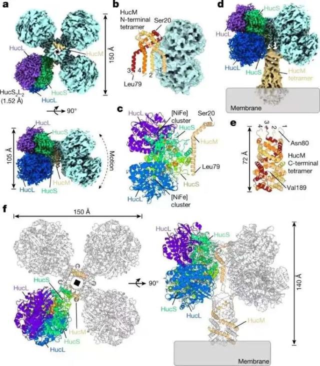 新发现！空气也能“发电”，最新成果登鼎Nature