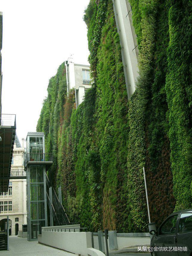 不同造型室外植物墙给你不一样的视觉体验