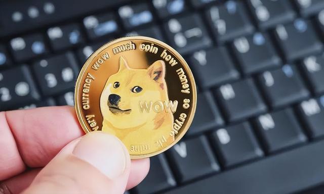 狗狗币：DOGE 能否在 10 年内达到 100 美元?