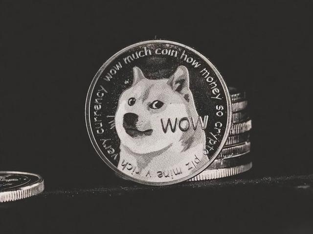 狗狗币：DOGE 能否在 10 年内达到 100 美元?