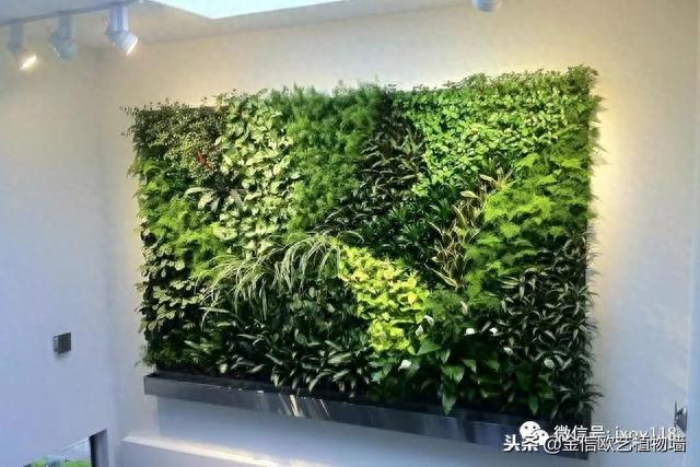 植物墙多少钱一平米？哪些因素影响植物墙价格