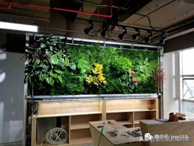 植物墙多少钱一平米？哪些因素影响植物墙价格