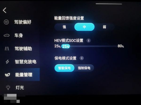 用油车的价买插混车：蓝电E5真有那么划算？听听第一批车主怎么说