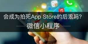 欧yiokx平台app官网下载地址(小程序揭竿而起：会成为拍死App Store的后浪吗)