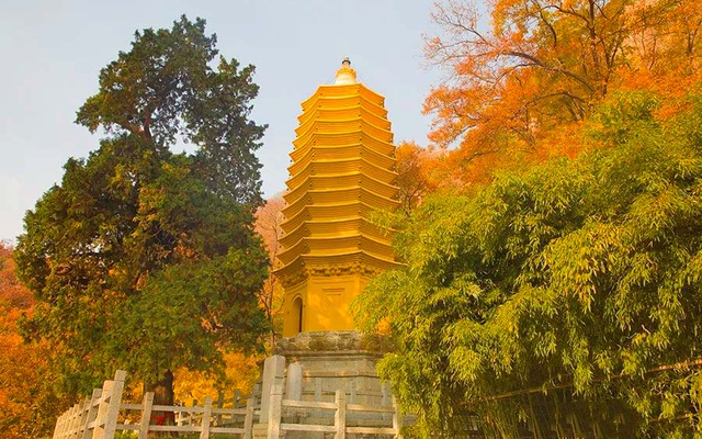 太方便了！北京到盘山一日游旅游专线正式发车！