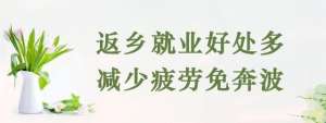 宿迁到新浦汽车时刻表(今日，宿迁汽车客运站部分客运班线发班啦)