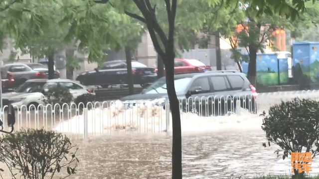 下暴雨路被淹了，千万别一脚油门冲过去，免得肠子悔青都没用