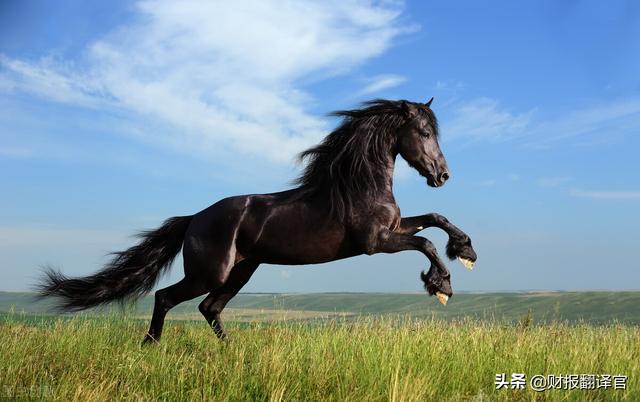 为全球前10大车企，供应新能源汽车核心部件的龙头，业绩暴涨1倍