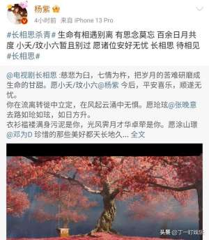 八王玟长途汽车站(2张图定格杨紫版小夭，可盐可甜，浅析《长相思》最完美的女主角)