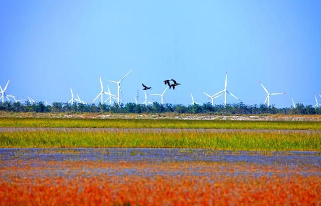 秋高气爽摩旅天，秋季摩旅线路推荐②——穿越黄海之滨