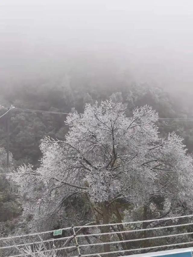 最新！福建这些道路封闭，景区通知