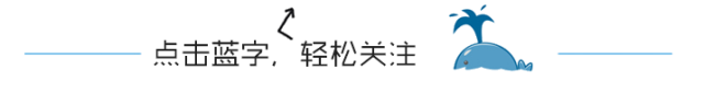 不用再跑车管所，南京这26家4S店买车可直接上牌